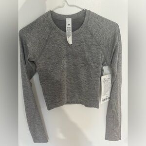 Brand New Swiftly Tech Cropped Long Sleeve 2.0 in Slate / White size 4